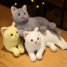 Load image into Gallery viewer, 4 Colors 31cm INS Like Real Prone Cat Plush Doll Stuffed Pure Colors Grey White Yellow Kitten Toy Pets Animal Kids Gift
