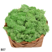 Load image into Gallery viewer, 40g Artificial Plant Eternal Life Moss Mini Garden Micro Landscape Accessories Home Wedding Decoration Wall DIY Flower Material
