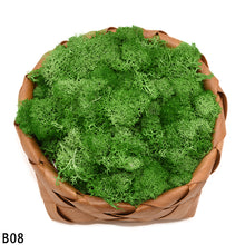 Load image into Gallery viewer, 40g Artificial Plant Eternal Life Moss Mini Garden Micro Landscape Accessories Home Wedding Decoration Wall DIY Flower Material
