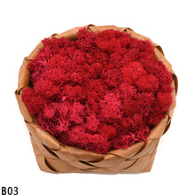 Load image into Gallery viewer, 40g Artificial Plant Eternal Life Moss Mini Garden Micro Landscape Accessories Home Wedding Decoration Wall DIY Flower Material
