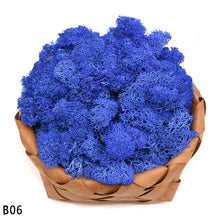 Load image into Gallery viewer, 40g Artificial Plant Eternal Life Moss Mini Garden Micro Landscape Accessories Home Wedding Decoration Wall DIY Flower Material
