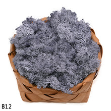 Load image into Gallery viewer, 40g Artificial Plant Eternal Life Moss Mini Garden Micro Landscape Accessories Home Wedding Decoration Wall DIY Flower Material
