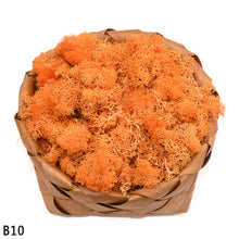Load image into Gallery viewer, 40g Artificial Plant Eternal Life Moss Mini Garden Micro Landscape Accessories Home Wedding Decoration Wall DIY Flower Material
