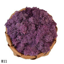 Load image into Gallery viewer, 40g Artificial Plant Eternal Life Moss Mini Garden Micro Landscape Accessories Home Wedding Decoration Wall DIY Flower Material
