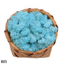 Load image into Gallery viewer, 40g Artificial Plant Eternal Life Moss Mini Garden Micro Landscape Accessories Home Wedding Decoration Wall DIY Flower Material
