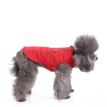 Load image into Gallery viewer, Winter Clothing Pet Clothing Zipper Jacket Winter Clothing Pet Coat for Dog
