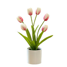 Load image into Gallery viewer, Six-Headed Tulip Bonsai Artificial Flower Creative Artificial Home Decorations

