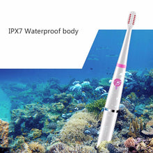 Load image into Gallery viewer, Sonic Electric Toothbrush USB Charge Rechargeable Tooth Brushes Home Accessory

