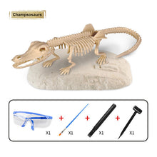 Load image into Gallery viewer, 5 Styles Dinosaur Fossil Excavation Toys Archaeological Dig Toy DIY Assembly Model Educational Toys for Kids Boys Gifts
