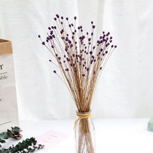 Load image into Gallery viewer, 50Pcs Real Happy Flower Small Natural Dried Flowers Bouquet Dry Flowers Press Mini Decorative Photography Photo Backdrop Decor
