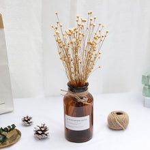 Load image into Gallery viewer, 50Pcs Real Happy Flower Small Natural Dried Flowers Bouquet Dry Flowers Press Mini Decorative Photography Photo Backdrop Decor
