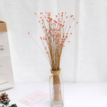 Load image into Gallery viewer, 50Pcs Real Happy Flower Small Natural Dried Flowers Bouquet Dry Flowers Press Mini Decorative Photography Photo Backdrop Decor
