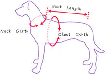 Load image into Gallery viewer, Halloween Costume Delifur Pet  Dog  Pet Suit Cowboy Rider Style Dog Carrying
