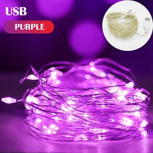 Load image into Gallery viewer, 5M 10M 20M Fairy Light New Year LED Christmas Light Waterproof Copper Wire String Light for Wedding Garland Party Curtain Light
