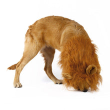 Load image into Gallery viewer, LIVINGHOME Pet Costume Dog Lion Wigs Mane Hair Scarf Clothes For Party Halloween Festival
