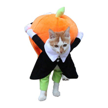 Load image into Gallery viewer, Solu Pet Pumpkin Costume Halloween Funny Pet Pumpkin Costume Pet Role Play Special Event Costume Cute Design
