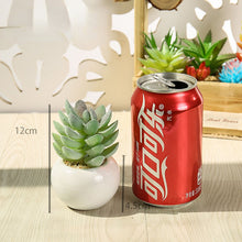 Load image into Gallery viewer, Small round Basin Mini Artificial Succulent Pant Potted Plant (Pot Included) Emulational Flower Decoration
