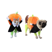 Load image into Gallery viewer, Solu Pet Pumpkin Costume Halloween Funny Pet Pumpkin Costume Pet Role Play Special Event Costume Cute Design
