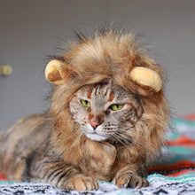 Load image into Gallery viewer, Funny Cute Pet Costume Cosplay Lion Mane Wig Cap Hat for Cat Halloween Autumn Winter Keep Warm
