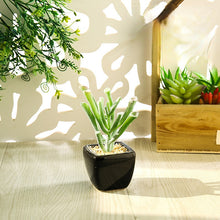 Load image into Gallery viewer, Mini Artificial Succulent Pant Bonsai (Pot Included) Creative Decoration Artificial Flower Yiwu Artificial Plant
