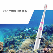 Load image into Gallery viewer, Sonic Electric Toothbrush USB Charge Rechargeable Tooth Brushes Home Accessory
