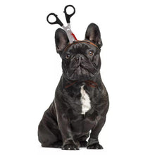 Load image into Gallery viewer, Pet Halloween Costume Funny Hatchet Through The Head for Dogs Cat Hat Headband
