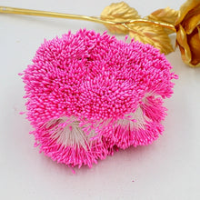 Load image into Gallery viewer, 900pcs/lot Random Mixed Double Heads DIY Artificial Mini Pearl Flower Stamen Pistil 1mm Floral Stamen For Wedding Decoration DIY
