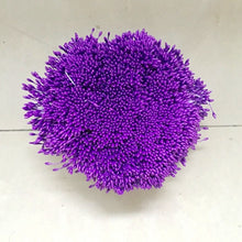 Load image into Gallery viewer, 900pcs/lot Random Mixed Double Heads DIY Artificial Mini Pearl Flower Stamen Pistil 1mm Floral Stamen For Wedding Decoration DIY
