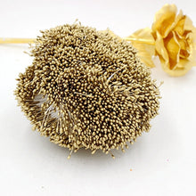 Load image into Gallery viewer, 900pcs/lot Random Mixed Double Heads DIY Artificial Mini Pearl Flower Stamen Pistil 1mm Floral Stamen For Wedding Decoration DIY
