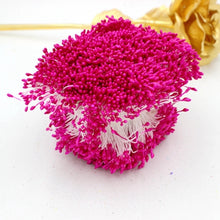 Load image into Gallery viewer, 900pcs/lot Random Mixed Double Heads DIY Artificial Mini Pearl Flower Stamen Pistil 1mm Floral Stamen For Wedding Decoration DIY
