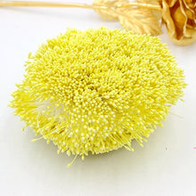 Load image into Gallery viewer, 900pcs/lot Random Mixed Double Heads DIY Artificial Mini Pearl Flower Stamen Pistil 1mm Floral Stamen For Wedding Decoration DIY
