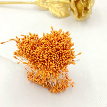 Load image into Gallery viewer, 900pcs/lot Random Mixed Double Heads DIY Artificial Mini Pearl Flower Stamen Pistil 1mm Floral Stamen For Wedding Decoration DIY
