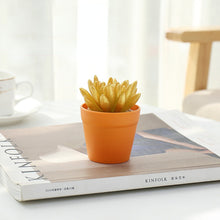 Load image into Gallery viewer, Succulent Plant Bonsai Creative Decoration Gift Flower Plant Interior Decoration
