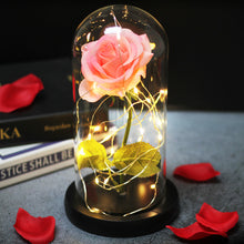 Load image into Gallery viewer, Artificial Eternal The Beast Beauty Rose Eternelle Flower In Glass Dome LED Home Decor Mother's Birthday Valentines Day Gift
