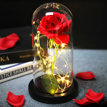 Load image into Gallery viewer, Artificial Eternal The Beast Beauty Rose Eternelle Flower In Glass Dome LED Home Decor Mother's Birthday Valentines Day Gift
