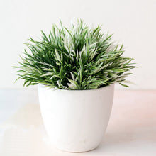Load image into Gallery viewer, Artificial Plants Bonsai Small Tree Pot Plants Home Decor Bonsai Fake Flowers Potted Ornaments Wediing Decoration Garden Decor
