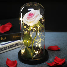 Load image into Gallery viewer, Artificial WED Flowers Beauty and the Beast Eternal Rose in Glass Cover Home Decor Wedding for Guests Birthday Mother's Day Gift
