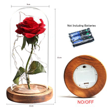 Load image into Gallery viewer, Artificial WED Flowers Beauty and the Beast Eternal Rose in Glass Cover Home Decor Wedding for Guests Birthday Mother's Day Gift
