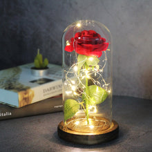 Load image into Gallery viewer, Artificial WED Flowers Beauty and the Beast Eternal Rose in Glass Cover Home Decor Wedding for Guests Birthday Mother's Day Gift
