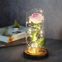 Load image into Gallery viewer, Artificial WED Flowers Beauty and the Beast Eternal Rose in Glass Cover Home Decor Wedding for Guests Birthday Mother's Day Gift

