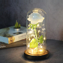 Load image into Gallery viewer, Artificial WED Flowers Beauty and the Beast Eternal Rose in Glass Cover Home Decor Wedding for Guests Birthday Mother's Day Gift
