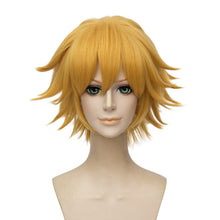 Load image into Gallery viewer, Cat Noir Cosplay Wig 30cm Short Golden Heat Resistant Synthetic Hair Perucas Cosplay Wigs + Wig Cap
