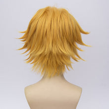 Load image into Gallery viewer, Cat Noir Cosplay Wig 30cm Short Golden Heat Resistant Synthetic Hair Perucas Cosplay Wigs + Wig Cap
