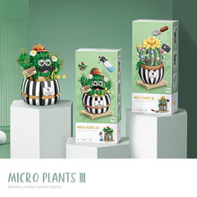 Load image into Gallery viewer, Creative Funny Cactus Building Blocks Diy Simulation Succulent Potted Green Plant Flower 3D Model Mini Brick Children's Toy Gift
