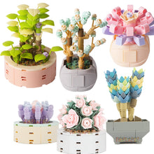 Load image into Gallery viewer, DIY MOC Potted Plants Succulents Cactus Gypsophila Bonsai Tree Gardens Romantic Building Blocks Model Bricks Kids Sets Kits Toys

