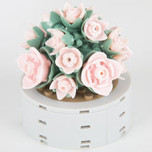 Load image into Gallery viewer, DIY MOC Potted Plants Succulents Cactus Gypsophila Bonsai Tree Gardens Romantic Building Blocks Model Bricks Kids Sets Kits Toys
