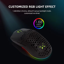 Load image into Gallery viewer, Delux M700 PMW3389 RGB Gaming Mouse 67g Lightweight Honeycomb Shell Ergonomic Mice with Soft rope Cable For Computer Gamer
