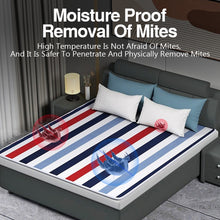 Load image into Gallery viewer, Electric Blanket Thicker Single Electric Mattress Thermostat Security Electric Heating Double Three People Blanket Warm 110-220V
