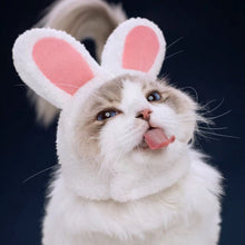 Load image into Gallery viewer, Funny Cosplay Costume Pet Dog Cat Hats Warm Kitten Rabbit Wig Cap Party Halloween Christmas Cos Accessories Photo Props Headwear
