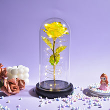 Load image into Gallery viewer, Glass Preserved Rose Galaxy Rose LED Light Artificial Flowers Gifts for Women
